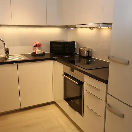 Sonderland Apt- Margit Hansens Gate